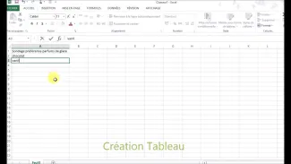 Les fonctions de base d'un logiciel tableur (excel)
