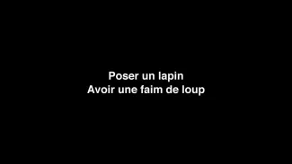 9-10 Hors-cadre Lapin