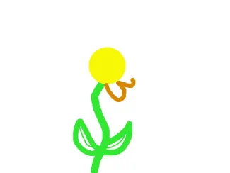 Kimi