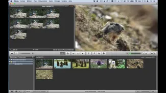 Tutoriel 8