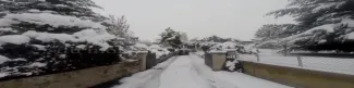 Une journée d'hiver....