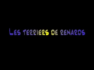 Les terriers de renards