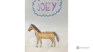 Présentation Joey