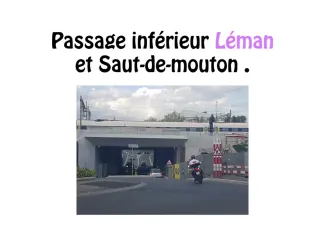 Passage inférieur du Léman par Havine et J.
