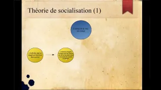 c - 1819 SOCIO socialisation moi en miroir et effet Pygmalion