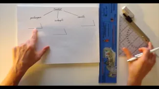 Les trapèzes