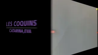 Les coquins
