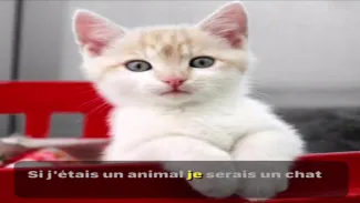 Si j’étais