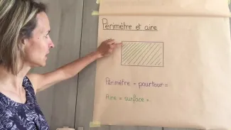 Géomètrie : périmètre et aire