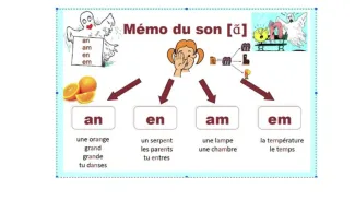 panneau em-am
