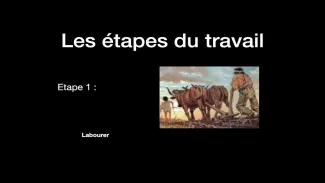 Les étapes du travail et le défrichement