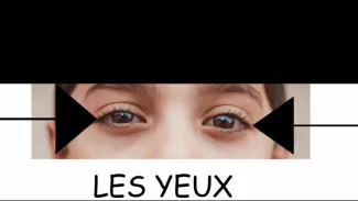 Leçon sur les parties du corps : vocabulaire et caractéristiques, schéma corporel