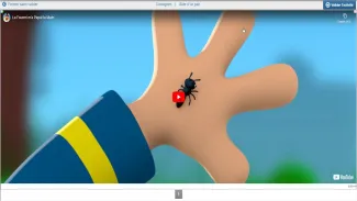 Vidéo explicative jeu de la fourmi