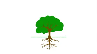 Le mode de nutrition des plantes