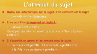 Vidéo explicative attribut du sujet VS COD