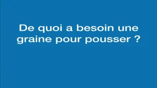 Présentation des besoins de la graine