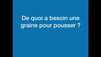 Présentation des besoins de la graine