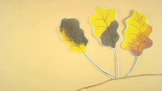 La promenade de Flaubert (vidéo)