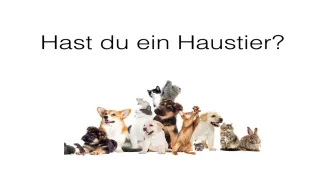 Hast du ein Haustier?