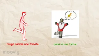 Comparaisons et métaphores