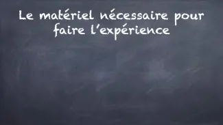 Expérience germination