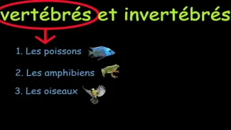 Évolution et vertébrés