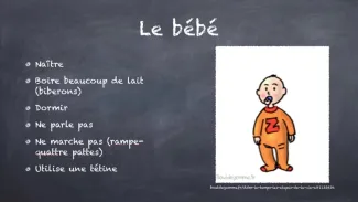 Les étapes de la vie