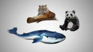 teaser_baisse_biodiversite