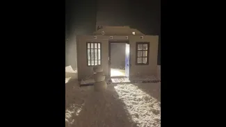 Bonhommes de neige