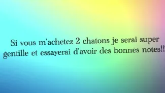 Le journal d'Amalia 