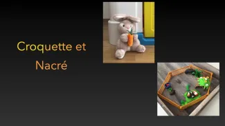 8P + 2P/MF1: Croquette et Nacré