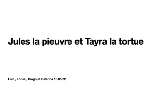 8P + 2P/MF1: Jules la pieuvre et Tayra la tortue