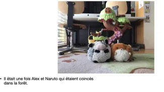 8P + 2P/MF2: Les aventures d'Alex et Naruto