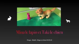 8P + 2P/MF5: Mina le lapin et Taki le chien