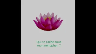 Qui se cache sous mon nénuphar
