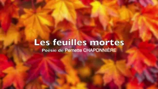 Les feuilles mortes - Poésie