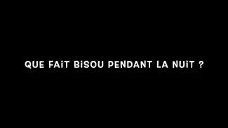 Bisou le lutin
