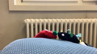 Socke Liam und Malo