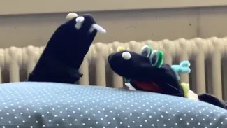 Socke Malo und Elijah
