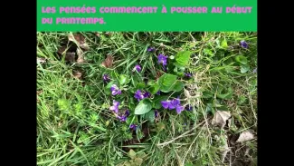 Les couleurs reviennent!