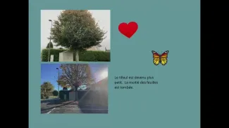 Les arbres en automne
