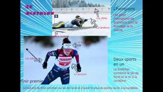 Les sports olympiques