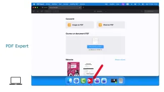 PDF Expert annoter et son