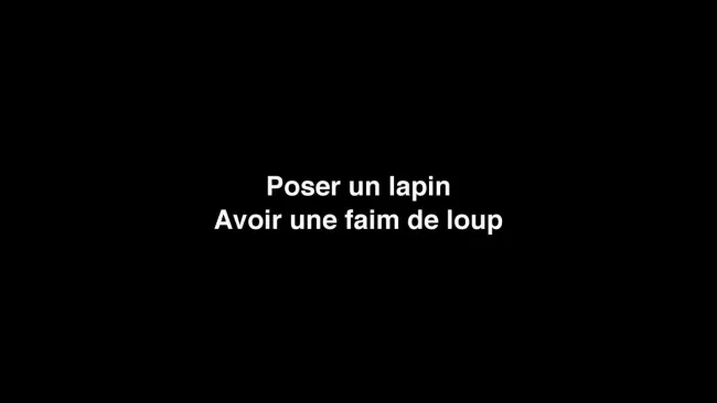 9-10 Hors-cadre Lapin