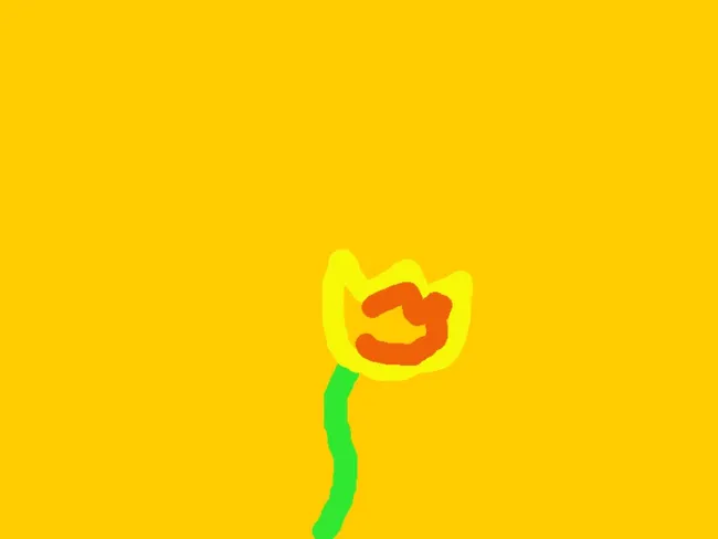Noé