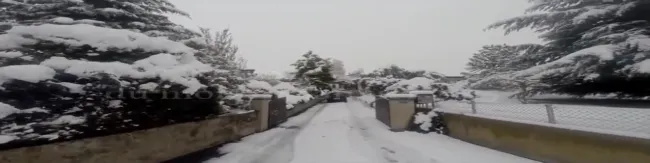 Une journée d'hiver....
