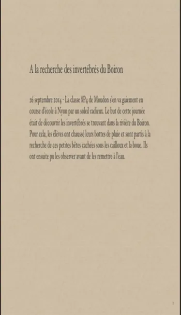 Livre Iphoto Karine Perrin
