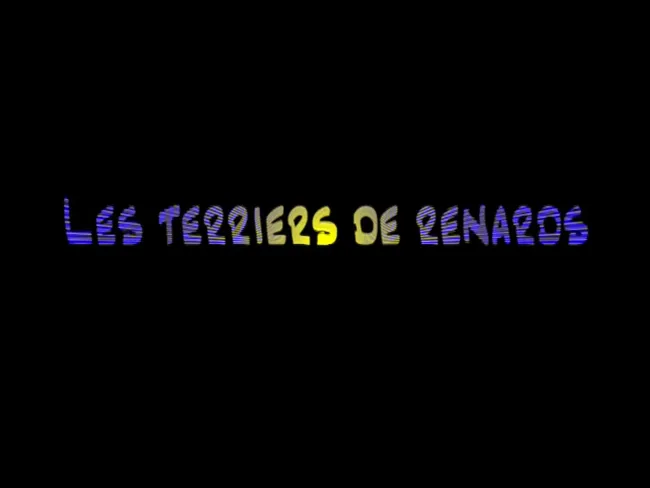 Les terriers de renards