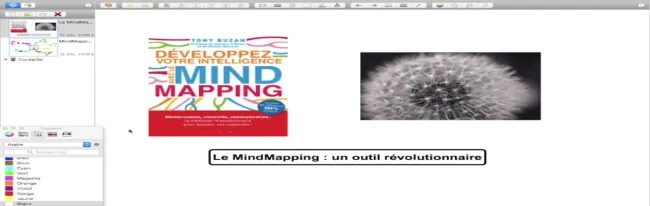 MindMapping