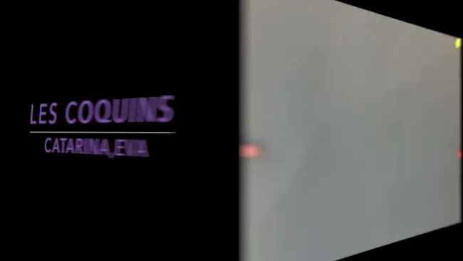 Les coquins